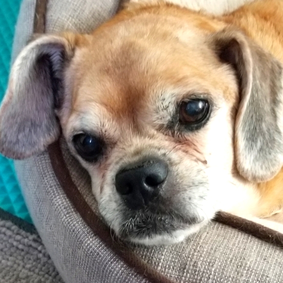 Meet your Posher, Joann - Picture 1 of 1